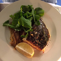 Turbot with braised fennel and rocket